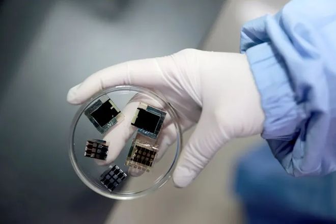 世界首次！高校科研团队成功破解难题