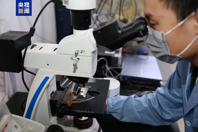 世界首次！高校科研团队成功破解难题(图2)